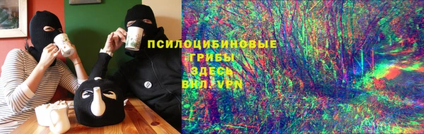 СК Снежногорск