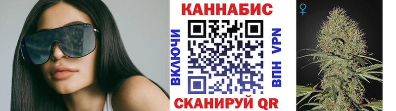 закладка  Новозыбков  Марихуана ГИДРОПОН 